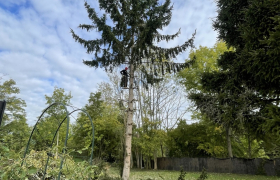 Elagueur Jouy-le-Moutier